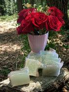Handmade Sugar Pine Soap