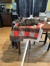 Load image into Gallery viewer, Outdoor Picnic Quilted Cat Throw
