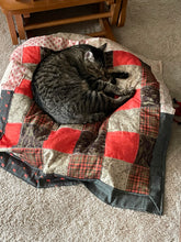 Load image into Gallery viewer, Outdoor Picnic Quilted Cat Throw
